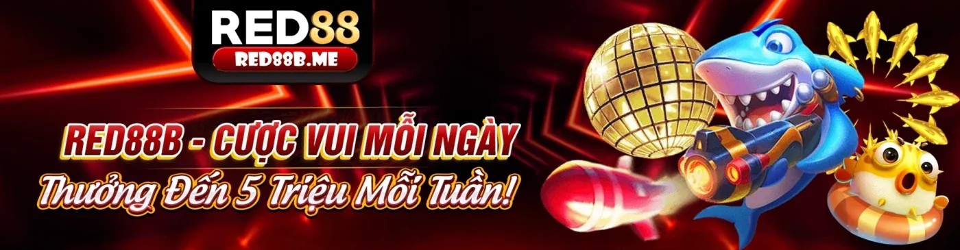 818win nhà cái cung cấp dịch vụ và quản lý tài khoản